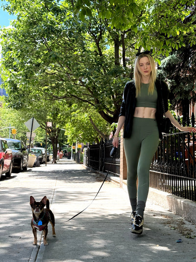 Performance Seamless High Waist Legging